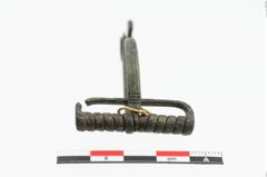 Foto von Bronzetierkopffibel (NHMW-PRAE-023851)